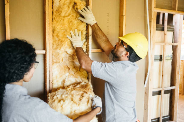 Best Insulation Air Sealing  in Smithville, MO